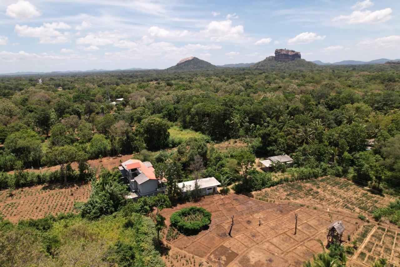 Sigiriya Sun Shine Villa Esterno foto